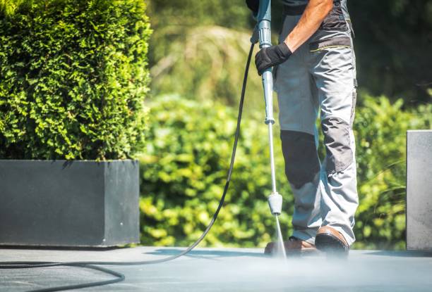 Best Solar Panel Cleaning  in Mountain View Acres, CA